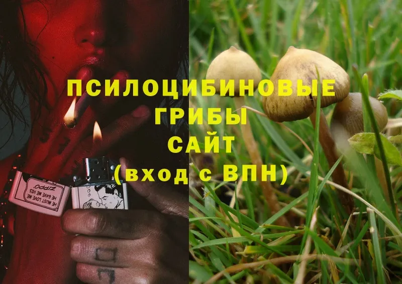 MEGA зеркало  Барабинск  Галлюциногенные грибы MAGIC MUSHROOMS 